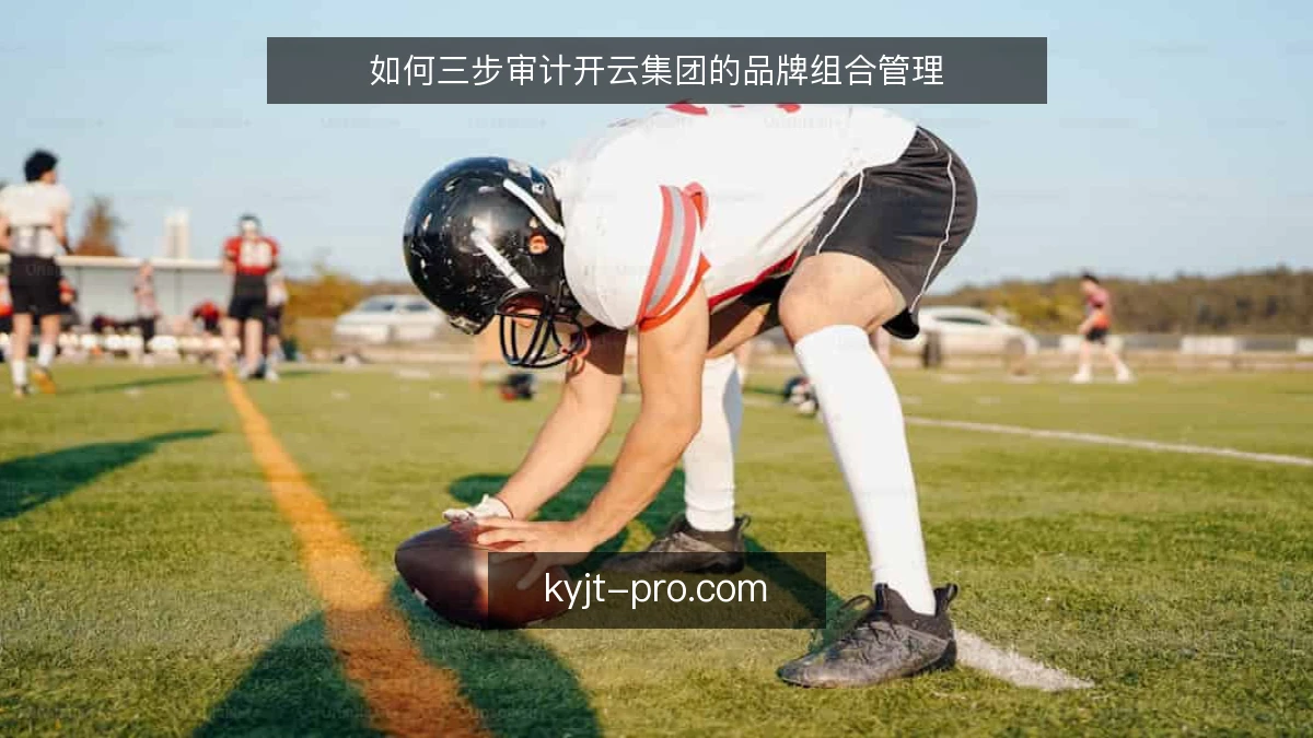 如何三步审计开云集团的品牌组合管理