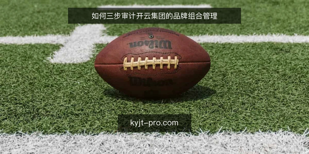 如何三步审计开云集团的品牌组合管理 — 为什么现在要审计开云集团品牌组合 配图