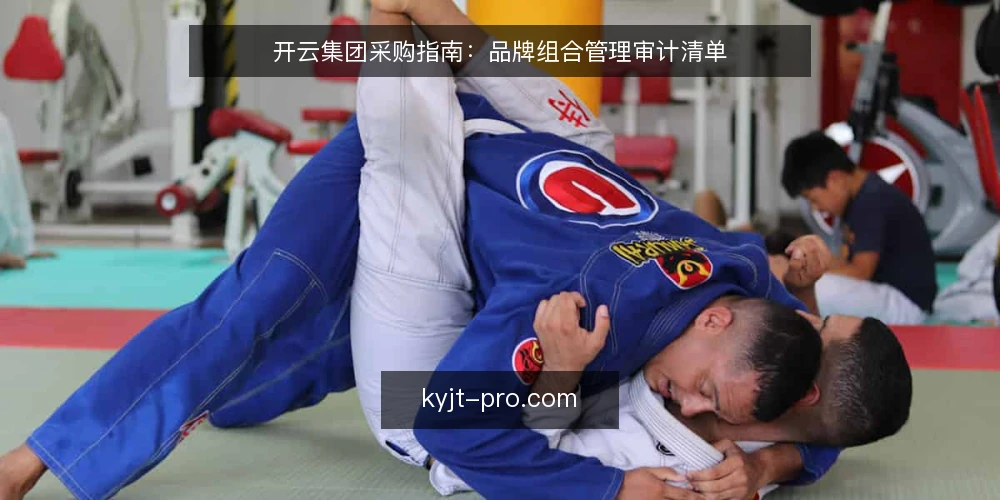 开云集团采购指南:品牌组合管理审计清单 — 为何现在审计品牌组合 配图