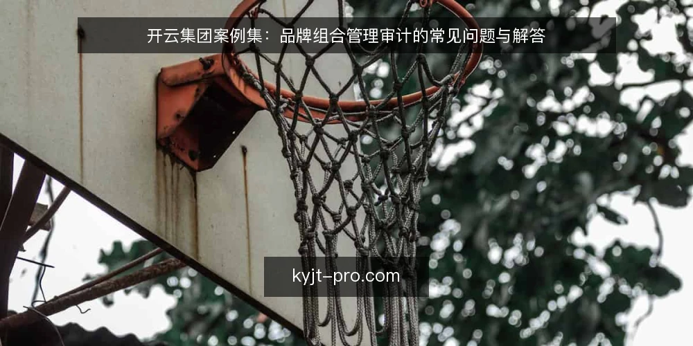 开云集团案例集:品牌组合管理审计的常见问题与解答 — 开云集团案例集:为什么品牌组合管理审计需要单独关注? 配图