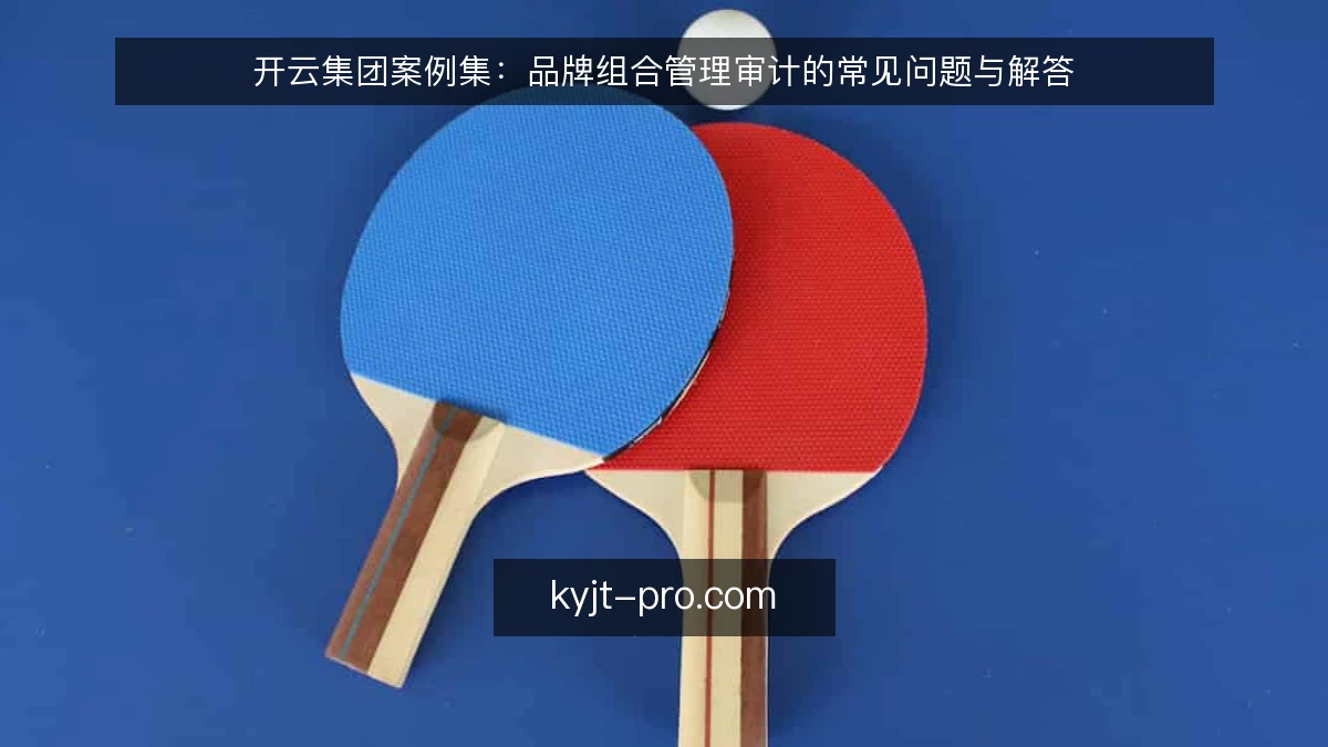 开云集团案例集：品牌组合管理审计的常见问题与解答