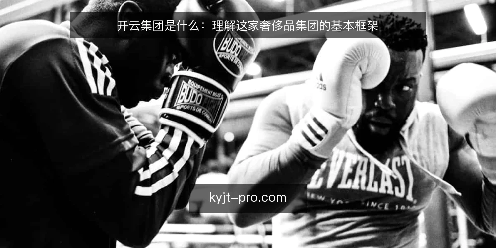 开云集团是什么:理解这家奢侈品集团的基本框架 — 为什么现在需要重新审计认知 配图