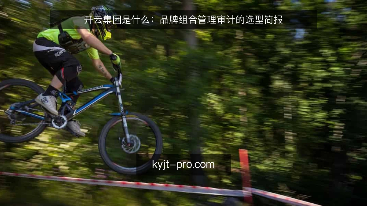 开云集团是什么：品牌组合管理审计的选型简报