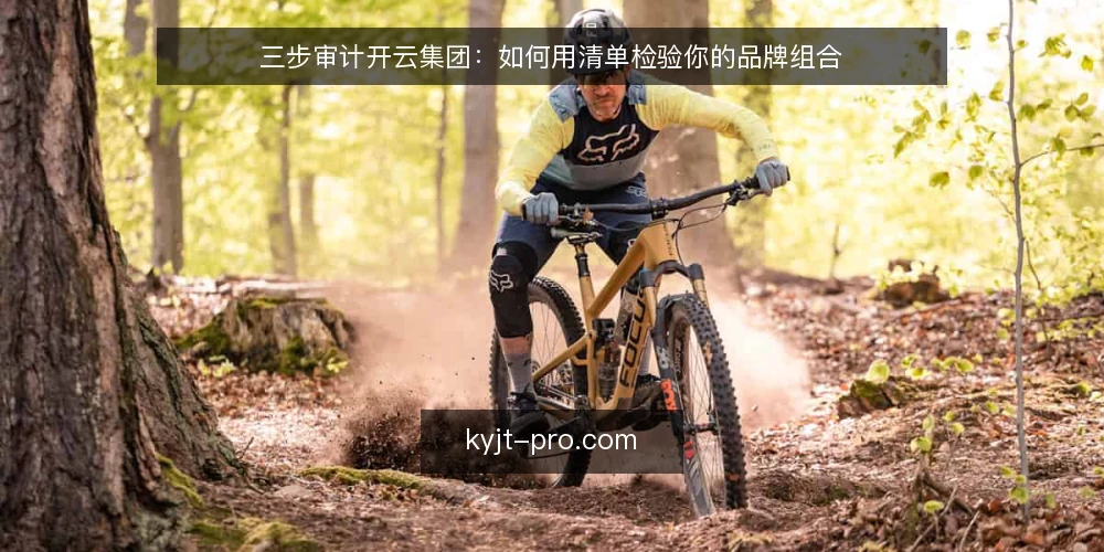 三步审计开云集团:如何用清单检验你的品牌组合 — 为什么现在审计开云集团 配图