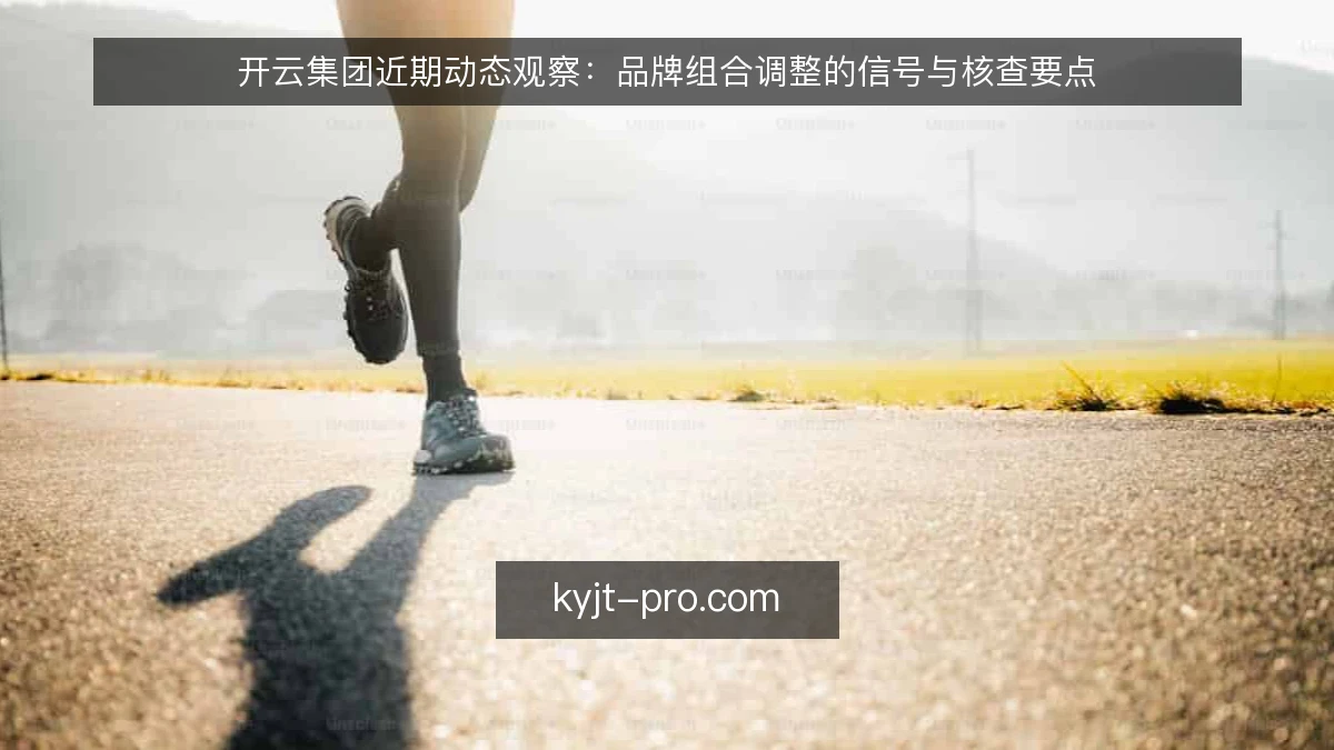 开云集团近期动态观察：品牌组合调整的信号与核查要点