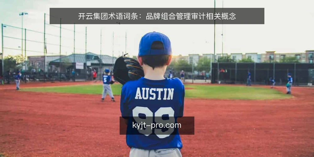 开云集团术语词条:品牌组合管理审计相关概念 — 现场观察信号 配图