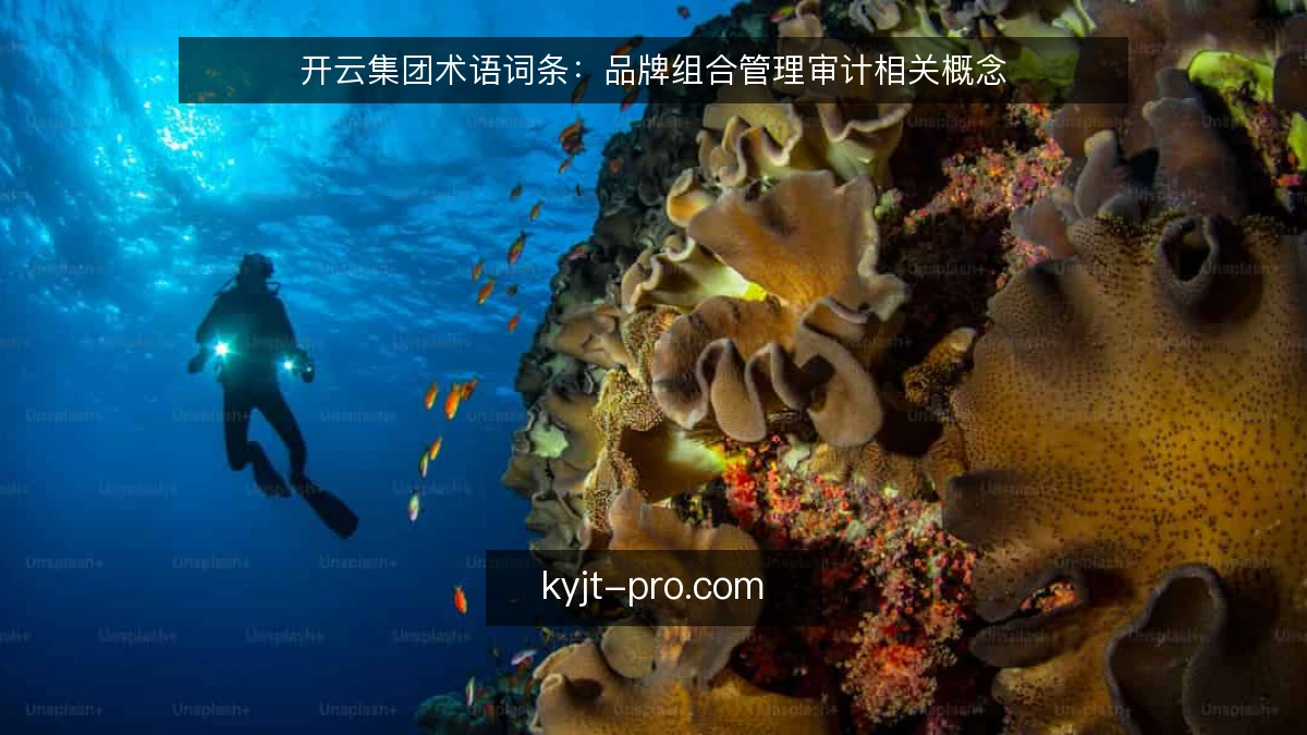 开云集团术语词条：品牌组合管理审计相关概念