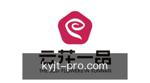 开云集团